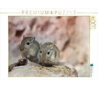 CALVENDO Puzzle de Couple de gerbillons Mongol | 1000 pièces - Dimensions : 64 x 48 cm - Puzzle Photo pour des Heures de Bonheur