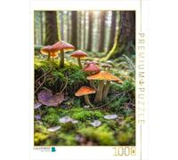 CALVENDO Puzzle de diversité de Champignons dans la lumière de la forêt | 1000 pièces - Taille de la Pose 48 x 64 cm - Puzzle Photo pour des Heures heureuses