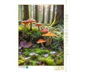 CALVENDO Puzzle de diversité de Champignons dans la lumière de la forêt | 1000 pièces - Taille de la Pose 48 x 64 cm - Puzzle Photo pour des Heures heureuses