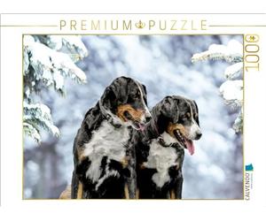 CALVENDO Puzzle de l'heure d'hiver - Taille de la Pose - Puzzle Photo pour des Heures heureuses