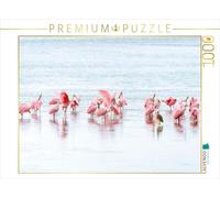 CALVENDO Puzzle de l'ouvre-Rose en Floride | 1000 pièces - Taille de la Pose 64 x 48 cm - Puzzle Photo pour des Heures heureuses