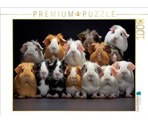 CALVENDO Puzzle de Nombreux cochons d'Inde superposés | 1000 pièces de Taille de la Ponte 64 x 48 cm Puzzle Photo pour des Heures heureuses