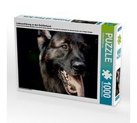 CALVENDO Puzzle Déclaration d'amour au Chien de Berger 1000 Pieces 64 x 48 cm from photoARTwithHEART