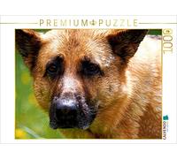 CALVENDO Puzzle Déclaration d'amour au Chien de Berger 1000 Pieces 64 x 48 cm from photoARTwithHEART