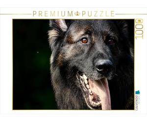 CALVENDO Puzzle Déclaration d'amour au Chien de Berger 1000 Pieces 64 x 48 cm from photoARTwithHEART