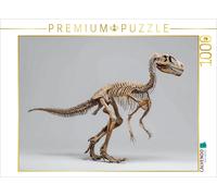 CALVENDO Puzzle Deinonychus-Skelett - Raubsaurier mit Kletterkrallen | 1000 Teil