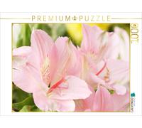 CALVENDO Puzzle Delicate blossoms of the Inca lily | 1000 pieces, finished size