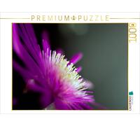 CALVENDO Puzzle Delicate leaves | 1000 pieces, finished size 25.2 × 18.9 in (64