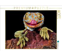 CALVENDO Puzzle délicieux | 1000 pièces de Taille 64 x 48 cm Puzzle Photo pour des Heures heureuses