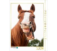 CALVENDO Puzzle Demi-Sang Rieur 1000 Pieces 48 x 64 cm from Meike Bölts