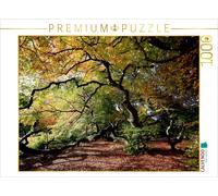 CALVENDO Puzzle L'automne dans Toute sa splendeur de Couleurs 1000 Pieces 64 x 48 cm from Bernhard Loewa