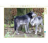 CALVENDO Puzzle Der Timberwolf - Der Jäger aus den Rocky Mountains 1000 Teile Puzzle quer 1000 Pieces 64 x 48 cm from Arno Klatt
