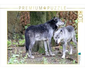 CALVENDO Puzzle Der Timberwolf - Der Jäger aus den Rocky Mountains 1000 Teile Puzzle quer 1000 Pieces 64 x 48 cm from Arno Klatt