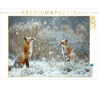 CALVENDO Puzzle Der Winter ist da | 1000 Teile Lege-Größe 64 × 48 cm Foto-Puzzle