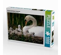 CALVENDO Puzzle des cygnes tuberculés. France 1000 Pieces 64 x 48 cm from Philippe Henry