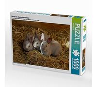 CALVENDO Puzzle des Enfants Mignons comme des Lapins 1000 Pieces 64 x 48 cm from Anja Bagunk