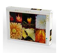 CALVENDO Puzzle des Fleurs pour Chaque Saison 1000 Pieces 64 x 48 cm from Anette Jäger
