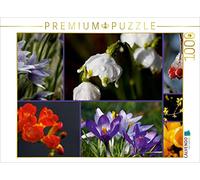 CALVENDO Puzzle des Fleurs pour Chaque Saison 1000 Pieces 64 x 48 cm from Anette Jäger