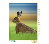 CALVENDO Puzzle des Lapins Mignons 1000 Pieces 48 x 64 cm from Peter Roder