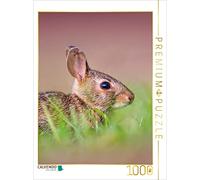 CALVENDO Puzzle des Lapins Mignons 1000 Pieces 48 x 64 cm from Peter Roder