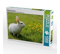 CALVENDO Puzzle des Lapins Mignons 1000 Pieces 64 x 48 cm from Anja Bagunk