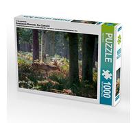 CALVENDO Puzzle des Moments d'émotion : Le Daim. 1000 Pieces 64 x 48 cm from Ingo Gerlach