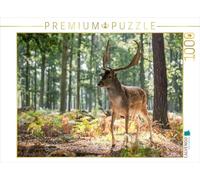 CALVENDO Puzzle des Moments d'émotion : Le Daim. 1000 Pieces 64 x 48 cm from Ingo Gerlach