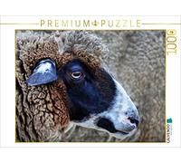 CALVENDO Puzzle des Moutons sympathiques 1000 Pieces 64 x 48 cm from Kattobello