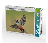 CALVENDO Puzzle des Oiseaux Sauvages Devant la caméra 1000 Pieces 64 x 48 cm from Wolfgang Lequen