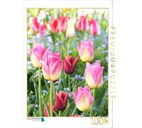 CALVENDO Puzzle des Tulipes colorées avec des Myosotis 1000 Pieces 48 x 64 cm from Gisela Kruse