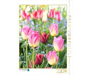 CALVENDO Puzzle des Tulipes colorées avec des Myosotis 1000 Pieces 48 x 64 cm from Gisela Kruse