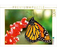 CALVENDO Puzzle Détenteur du Record de Migration - Le Papillon Monarque 1000 Pieces 64 x 48 cm from Anke Grau