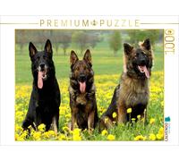 CALVENDO Puzzle Deutsche Schäferhunde | 1000 Teile Lege-Größe 64x48cm Foto-Puzzl