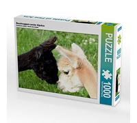 CALVENDO Puzzle Deux alpagas Qui se reniflent. 1000 Pieces 64 x 48 cm from Heidi Rentschler