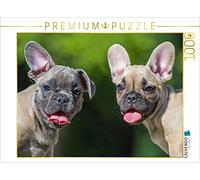 CALVENDO Puzzle Deux Chiots 1000 Pieces 64 x 48 cm from Sista-Tierfoto