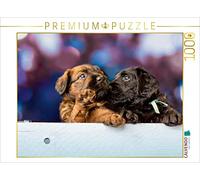 CALVENDO Puzzle Deux Chiots Briard 1000 Pieces 64 x 48 cm from Sonja Teßen