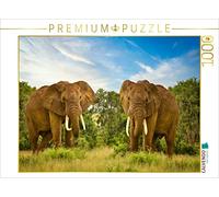 CALVENDO Puzzle Deux éléphants 1000 Pieces 64 x 48 cm from Heinz-Peter Schwerin