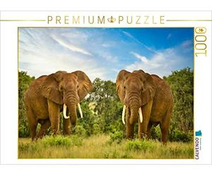 CALVENDO Puzzle Deux éléphants 1000 Pieces 64 x 48 cm from Heinz-Peter Schwerin