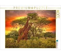CALVENDO Puzzle Deux girafes au Coucher du Soleil 1000 Pieces 64 x 48 cm from Heinz-Peter Schwerin