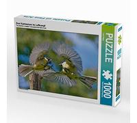 CALVENDO Puzzle Deux Gros nichons en Combat aérien 1000 Pieces 64 x 48 cm from Lutz Klapp
