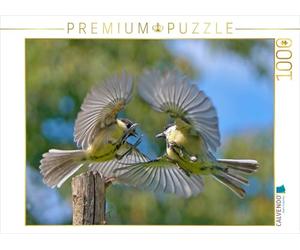 CALVENDO Puzzle Deux Gros nichons en Combat aérien 1000 Pieces 64 x 48 cm from Lutz Klapp