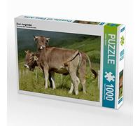 CALVENDO Puzzle Deux Jeunes bovins 1000 Pieces 64 x 48 cm from Juliane Wandel