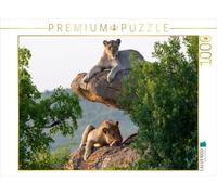CALVENDO Puzzle Deux lionnes dans la lumière dorée du Matin en Afrique du Sud | 1000 pièces de Ponte 64 x 48 cm Puzzle Photo pour des Heures heureuses