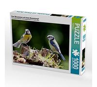 CALVENDO Puzzle Deux mésanges Bleues sur Une souche d'arbre 1000 Pieces 64 x 48 cm from ropo13