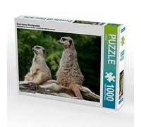 CALVENDO Puzzle Deux Petites sentinelles 1000 Pieces 64 x 48 cm from Barbara Mielewczyk