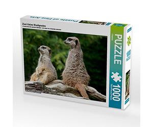 CALVENDO Puzzle Deux Petites sentinelles 1000 Pieces 64 x 48 cm from Barbara Mielewczyk