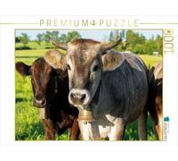 CALVENDO Puzzle Deux Vaches avec Cloches Debout sur Une Prairie Verte dans l'Unterallgäu | 1000 pièces de Ponte Taille 64 x 48 cm Puzzle Photo pour des Heures heureuses
