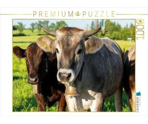 CALVENDO Puzzle Deux Vaches avec Cloches Debout sur Une Prairie Verte dans l'Unterallgäu | 1000 pièces de Ponte Taille 64 x 48 cm Puzzle Photo pour des Heures heureuses