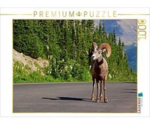 CALVENDO Puzzle Dickhornschaf am Icefields Parkway in Alberta (Kanada) 1000 Teile Puzzle quer 1000 Pieces 64 x 48 cm from Jana Thiem-Eberitsch