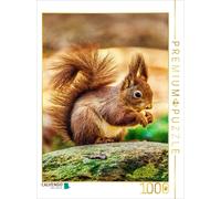 CALVENDO Puzzle Les Yeux Sombres et Brillants de l'écureuil sont attentifs à sa Nourriture | 1000 pièces de Taille 48 x 64 cm Puzzle Photo pour des Heures heureuses